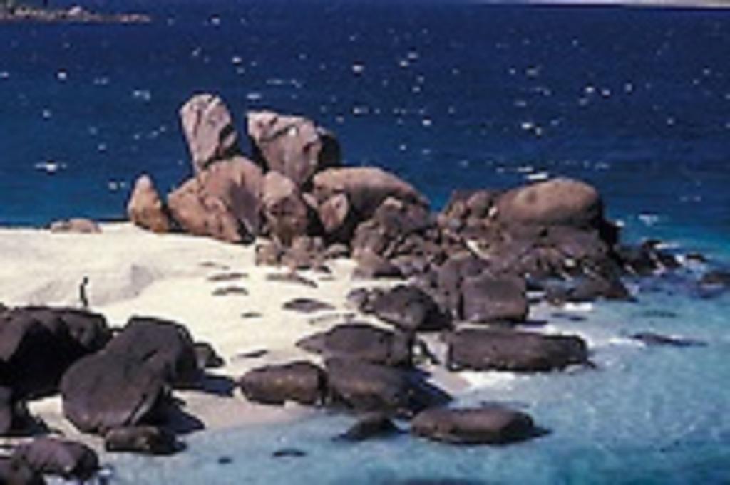 Zimbay Guest House Arugam Bay Esterno foto